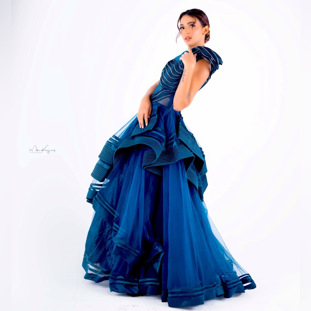 Brand new Indo-Western Evening Reception Gown